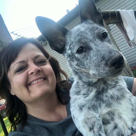 Meet your Posher, Hope - Picture 1 of 1